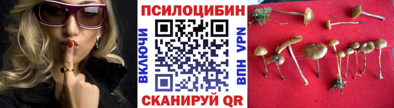 Галлюциногенные грибы MAGIC MUSHROOMS  сайты даркнета Telegram  Гаджиево 